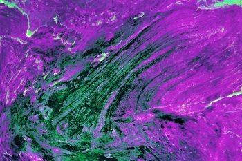 AP 140A1